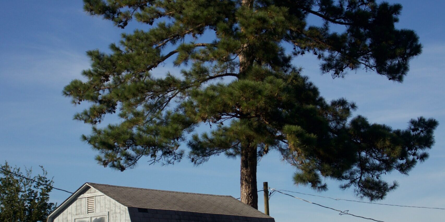 taylor-hammersla-gg4jRxFzG6I-unsplash