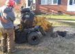 Charlotte NC - easy tree stump removal, removal of tree stumps, tree stump removal near me.