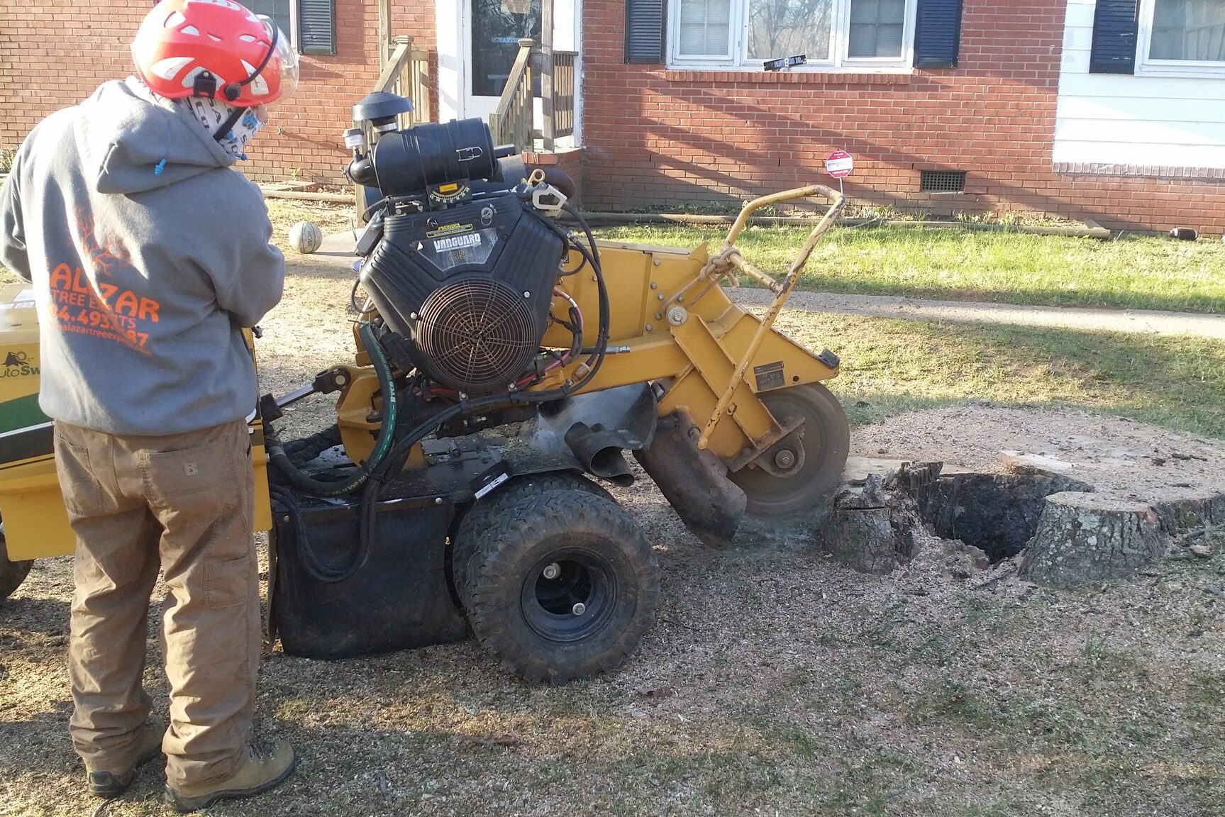Charlotte NC - easy tree stump removal, removal of tree stumps, tree stump removal near me.