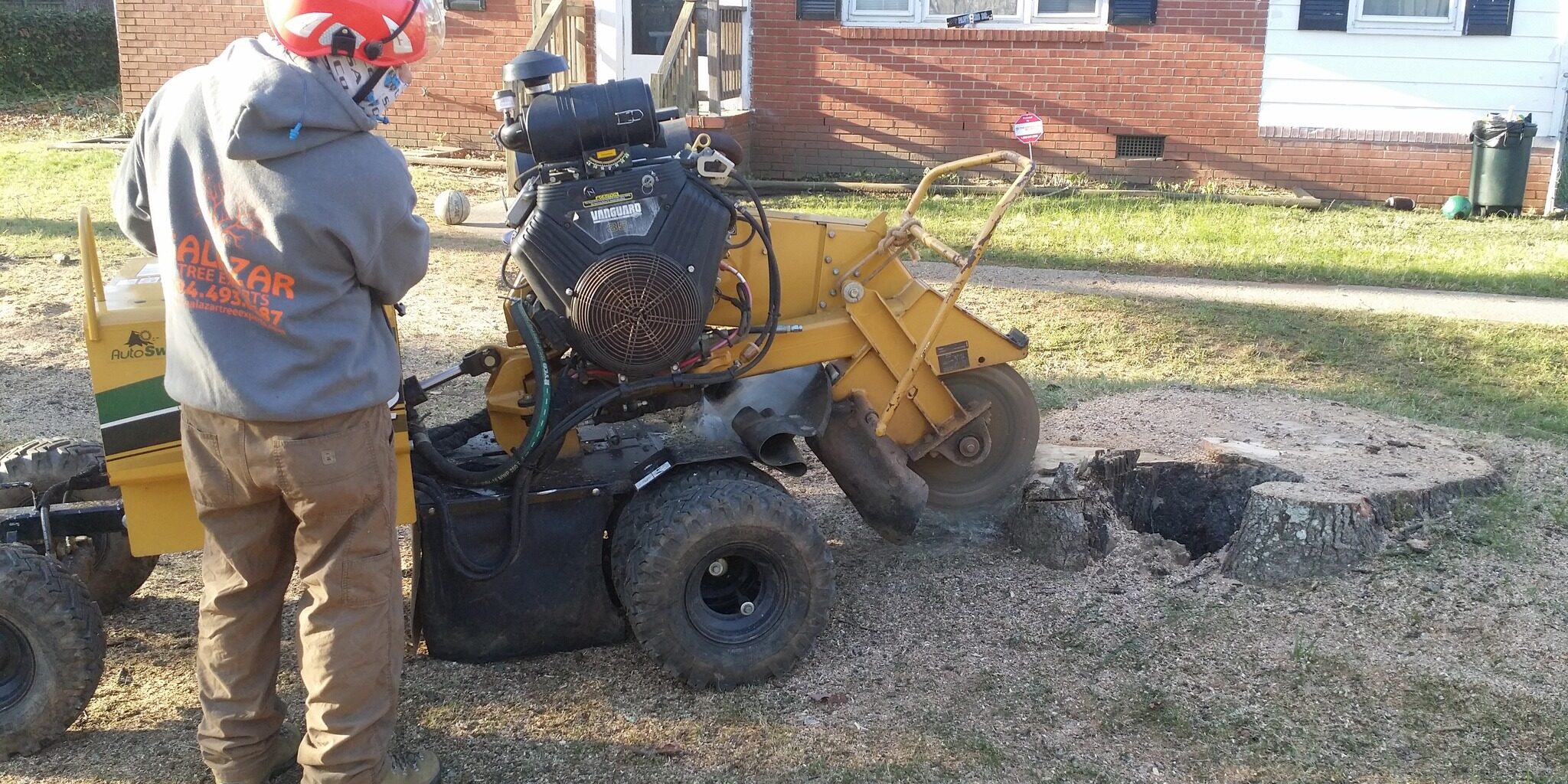 Charlotte NC - easy tree stump removal, removal of tree stumps, tree stump removal near me.