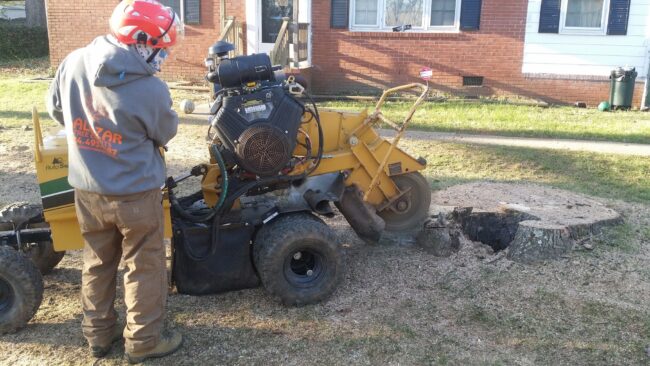 Charlotte NC - easy tree stump removal, removal of tree stumps, tree stump removal near me.